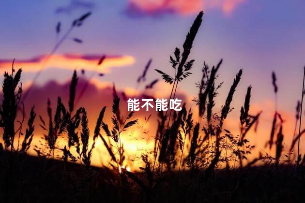 能不能吃