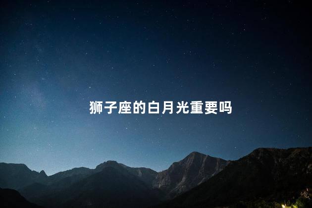 狮子座的白月光重要吗