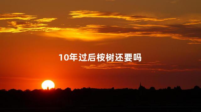 10年过后桉树还要吗