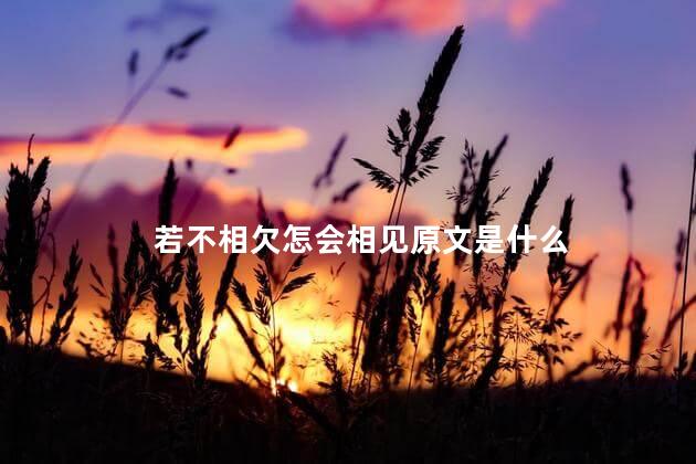 若不相欠怎会相见原文是什么