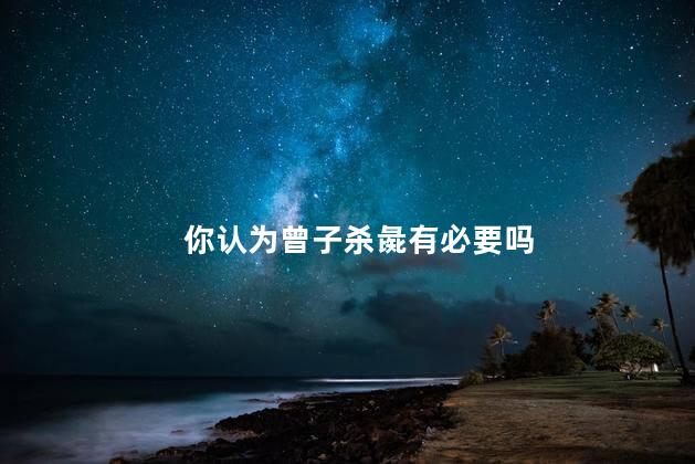 你认为曾子杀彘有必要吗