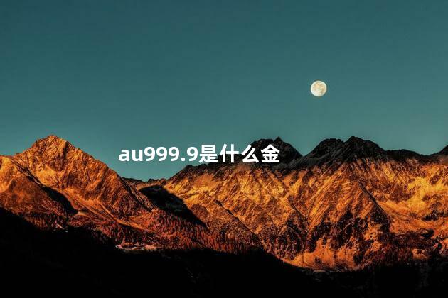 au999.9是什么金