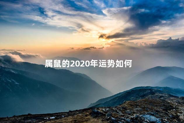 属鼠的2020年运势如何