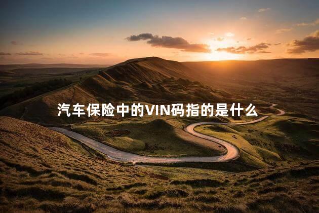 汽车保险中的VIN码指的是什么