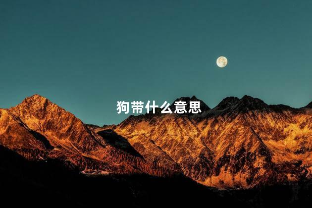 狗带什么意思