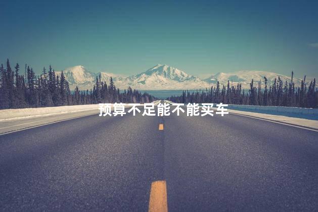 预算不足能不能买车