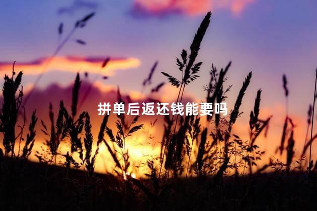 拼单后返还钱能要吗