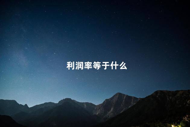 利润率等于什么