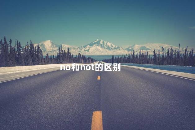 no和not的区别