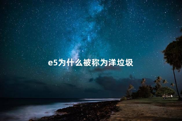 e5为什么被称为洋垃圾