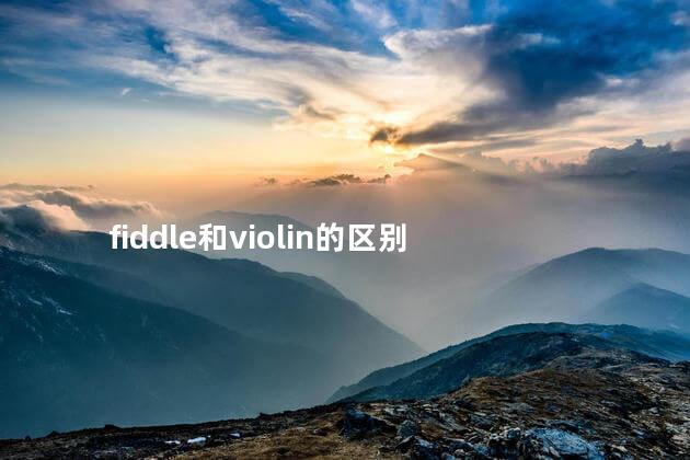 fiddle和violin的区别