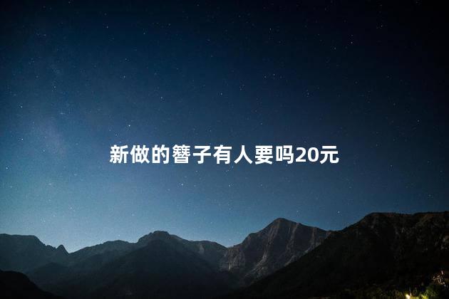 新做的簪子有人要吗20元