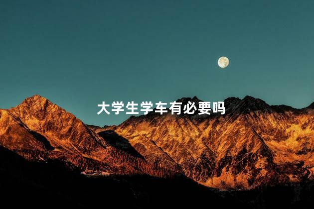 大学生学车有必要吗