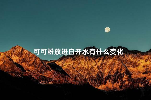 可可粉放进白开水有什么变化