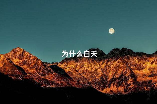 为什么白天