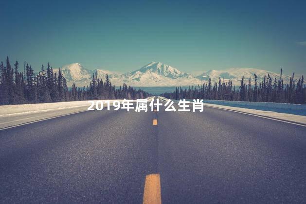 2019年属什么生肖