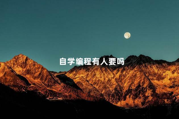 自学编程有人要吗