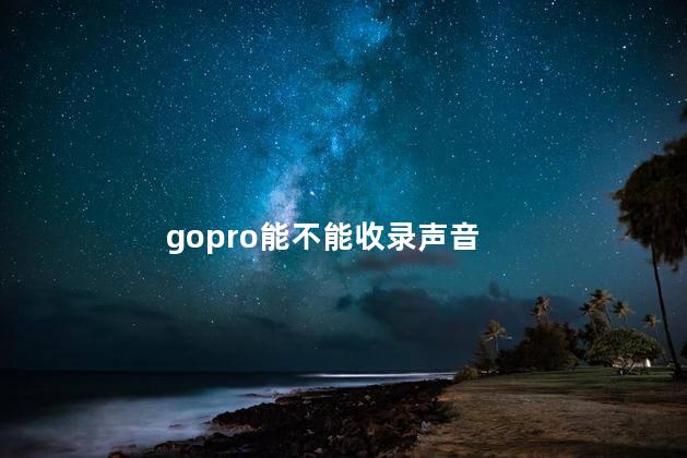 gopro能不能收录声音