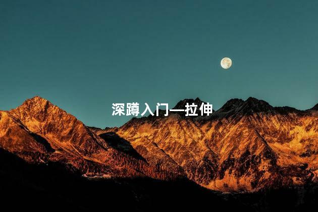 深蹲入门—拉伸