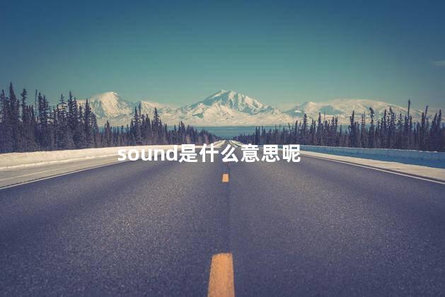 sound是什么意思呢