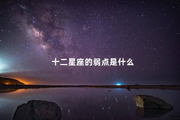 十二星座的弱点是什么