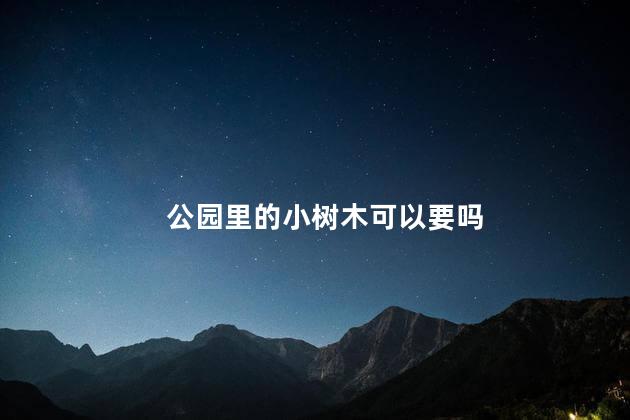 公园里的小树木可以要吗