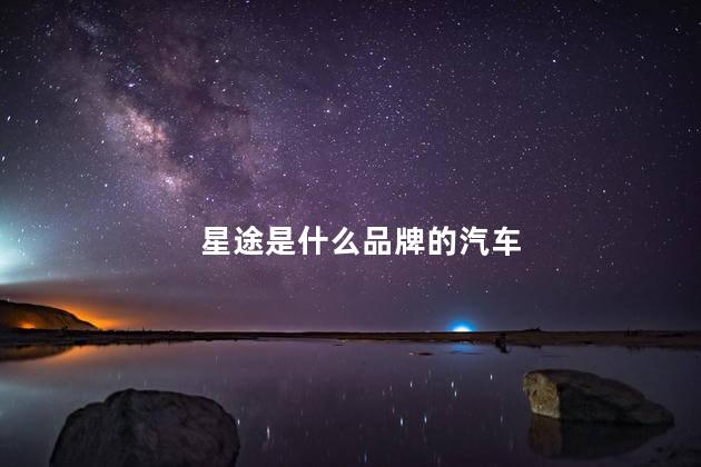 星途是什么品牌的汽车