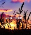 nice是什么意思 new是什么意思