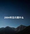 2004年五行属什么 2004年五行属于什么命