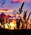 pvc是什么 PVC是什么简称