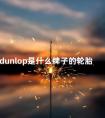 dunlop是什么牌子的轮胎 米其林马牌邓禄普哪个好