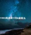 1993鸡遇到1996鼠配么 1993鸡男与1996鼠女婚姻