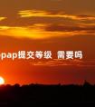 ppap提交等级  需要吗 PPAP提交等级