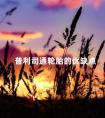 普利司通轮胎的优缺点 米其林轮胎优缺点介绍