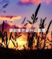 避敌锋芒是什么意思 规避锋芒什么意思