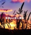 粉墨pvc有人要吗 需要pvc磨粉料厂家