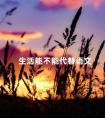 生活能不能代替语文 生活中什么代替蜡烛