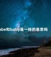 babe和baby是一样的意思吗 baby有什么意思