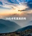 19元手机是真的吗 19元70g的流量卡是真的吗