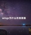 wings为什么终身禁赛 wings为什么叫护国神翼