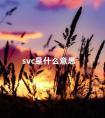 svc是什么意思 摄像头svc是什么意思