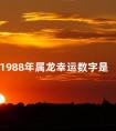 1988年属龙幸运数字是 1988年属龙人的运程