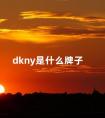 dkny是什么牌子 DKNY什么档次