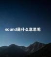 sound是什么意思呢 pink是什么意思