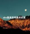 skv是真的吗真的好卖 skv是什么牌子