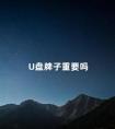 U盘牌子重要吗 u盘哪个牌子最好