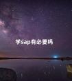 学sap有必要吗 sap怎么学