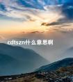 cdtszn什么意思啊 cdzn什么意思求解