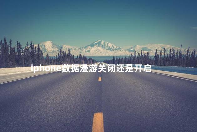 iphone数据漫游关闭还是开启