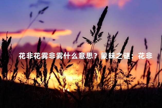 花非花雾非雾什么意思？蒙昧之谜：花非花，雾非雾